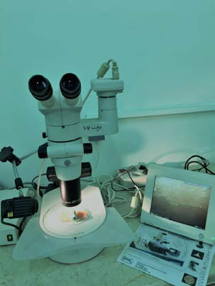 Стереомикроскоп